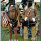 INDIAN BRAVES READY TO ENTER THE GRASS DANCE ANTIQUE POSTCARD US FLAG FULL DRESS