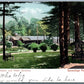 SACANDAGA PARK NY RAILROAD STATION 1905 UNDIVIDED ANTIQUE POSTCARD railway depot