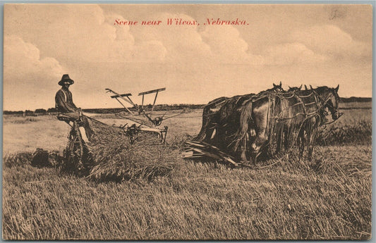 WILCOX NE SCENE ANTIQUE POSTCARD