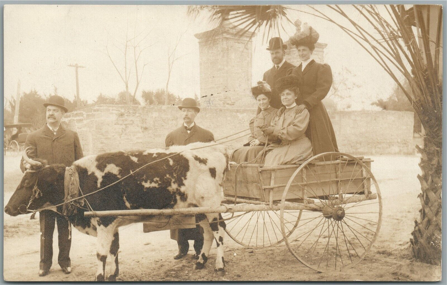COW DRAWN WAGON ANTIQUE REAL PHOTO POSTCARD RPPC
