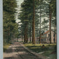 CATSKILL MTS NY ROAD BETWEEN MT. PLEASANT & THE CORNERS ANTIQUE POSTCARD