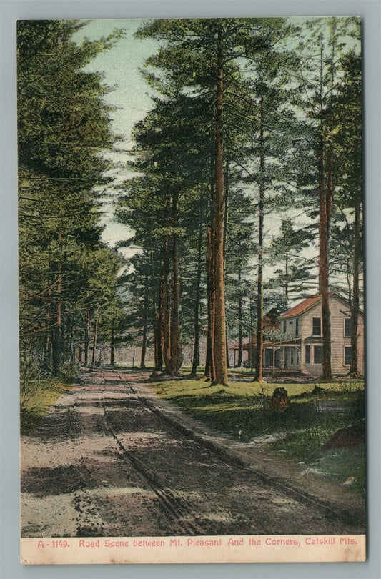 CATSKILL MTS NY ROAD BETWEEN MT. PLEASANT & THE CORNERS ANTIQUE POSTCARD