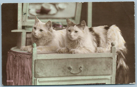 2 CATS HAND COLORED ANTIQUE REAL PHOTO POSTCARD RPPC