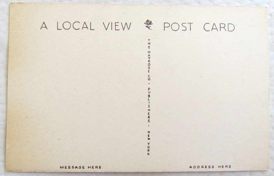 SCENE AROUND LYONS N.J. VINTAGE POSTCARD