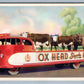 ROCHESTER NY OX HEAD STURDY ALE ADVERTISING VINTAGE POSTCARD