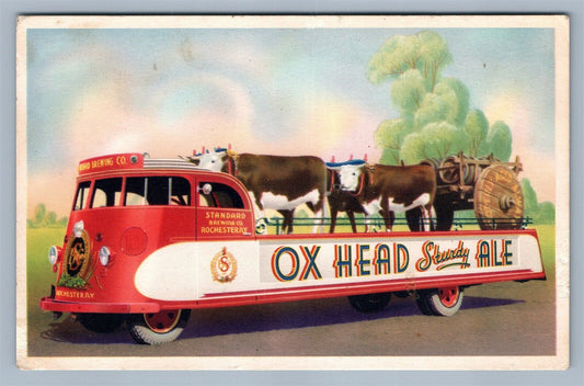 ROCHESTER NY OX HEAD STURDY ALE ADVERTISING VINTAGE POSTCARD