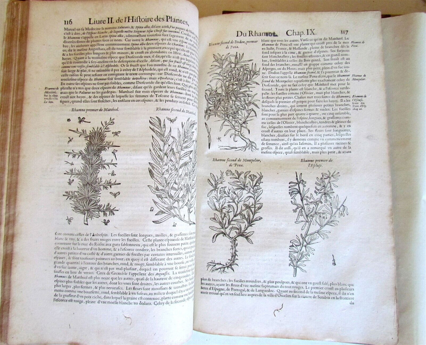 1615 HISTORY of PLANTS by Jacques DALECHAMPS ILLUSTRATED 2 FOLIO VOLUMES antique