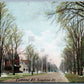 CORTLAND NY TOMPKINS STREET ANTIQUE POSTCARD