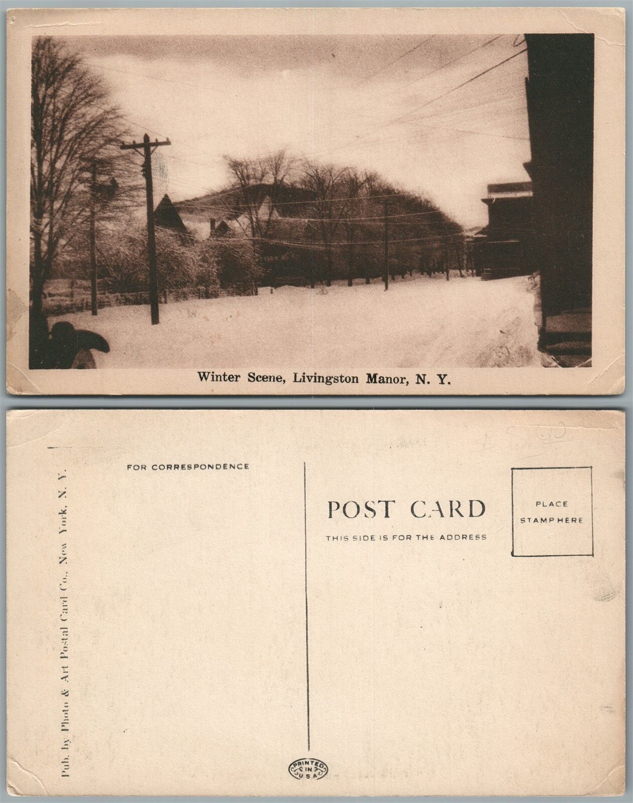 LIVINGSTON MANOR N.Y. WINTER SCENE ANTIQUE POSTCARD