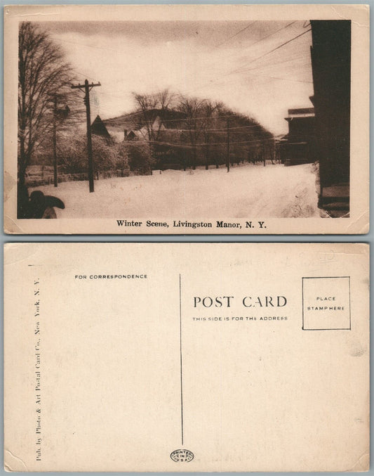 LIVINGSTON MANOR N.Y. WINTER SCENE ANTIQUE POSTCARD