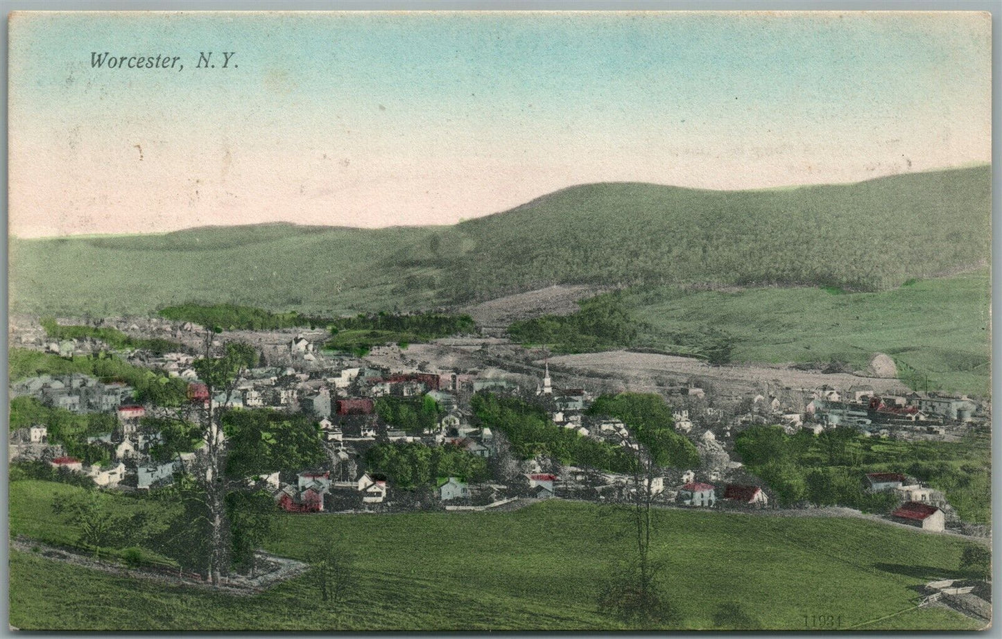 WORCESTER NY ANTIQUE POSTCARD
