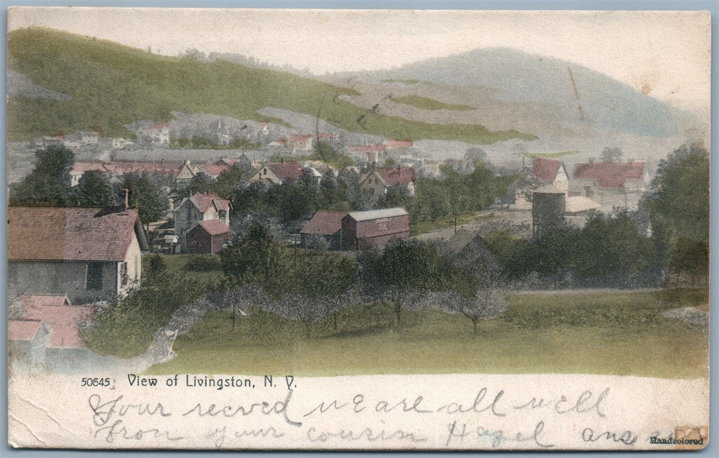 LIVINGSTON NY BIRDS EYE VIEW 1907 UNDIVIDED ANTIQUE POSTCARD