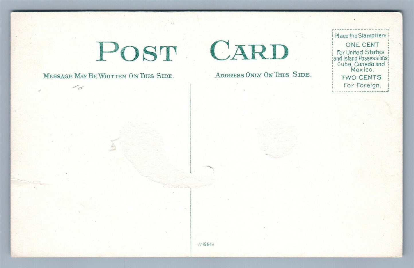 BINGHAMPTON NY FAYETTE STREET ANTIQUE POSTCARD