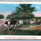 NESHANIC STATION NJ ANTIQUE POSTCARD