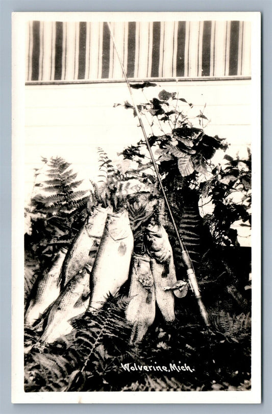 WOLVERINE MI FISHING FISH CATCH VINTAGE REAL PHOTO POSTCARD RPPC