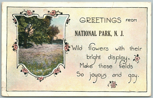 NATIONAL PARK N.J. ANTIQUE POSTCARD