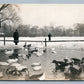 DUCK POND WINTER SCENE ANTIQUE REAL PHOTO POSTCARD RPPC