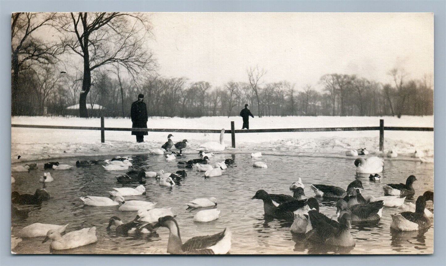 DUCK POND WINTER SCENE ANTIQUE REAL PHOTO POSTCARD RPPC