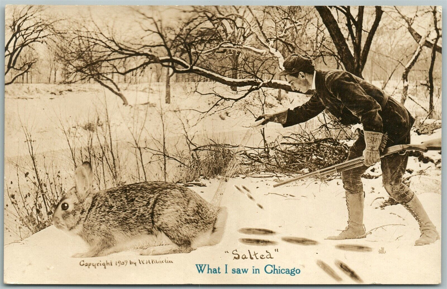 CHICAGO IL EXAGGERATED RABBIT ANTIQUE REAL PHOTO POSTCARD RPPC