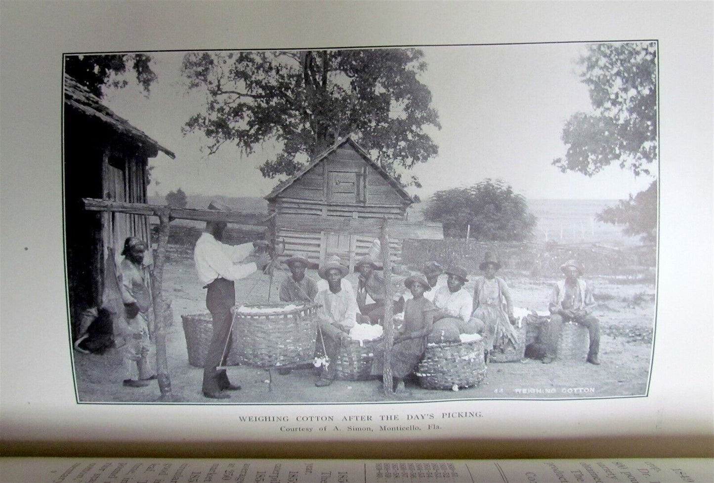 1908 KING COTTON HISTORICAL & STATISTICAL REVIEW J. WATKINS antique ILLUSTRATED