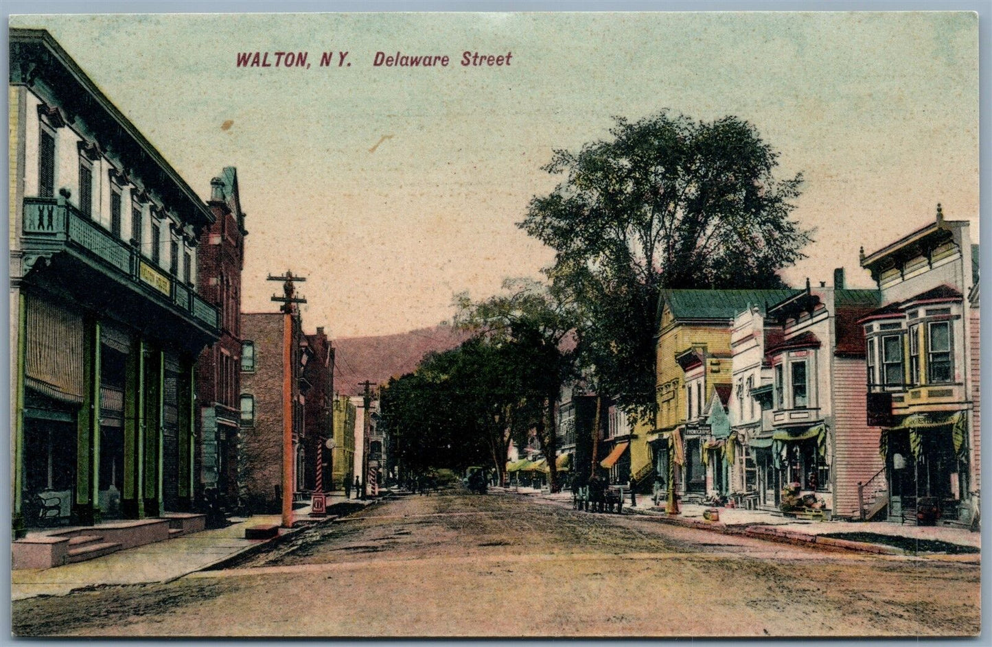 WALTON NY DELAWARE STREET ANTIQUE POSTCARD