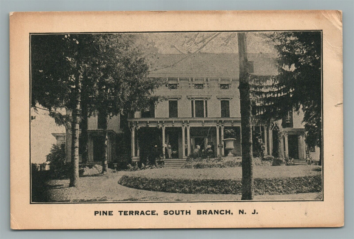 SOUTH BRANCH NJ PINE TERRRACE ANTIQUE POSTCARD