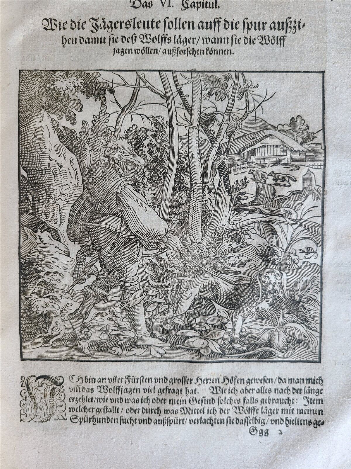 1580 ILLUSTRATED by Tobias Stimmer & J. Amman FOLIO antique HUNTING FALCONRY