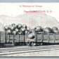 HAMPSTEAD NH EXAGGERATED ONION on RAILROAD CAR 1913 ANTIQUE POSTCARD