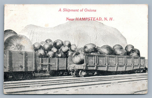 HAMPSTEAD NH EXAGGERATED ONION on RAILROAD CAR 1913 ANTIQUE POSTCARD