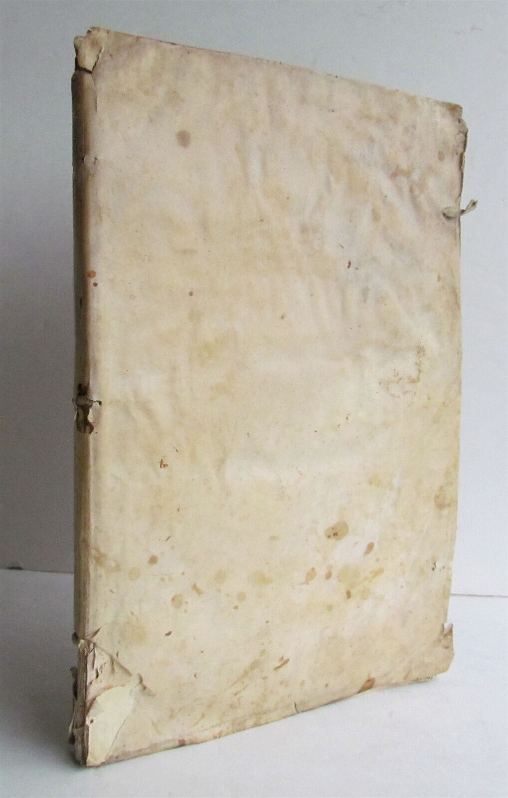 1557 CORPUS of CRIMINAL LAW FOLIO antique Criminalium iurium ciuitatis Genuensis