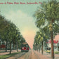 JACKSONVILLE FL AVENUE OF PALMS MAIN STREET 1916 ANTIQUE POSTCARD trolley