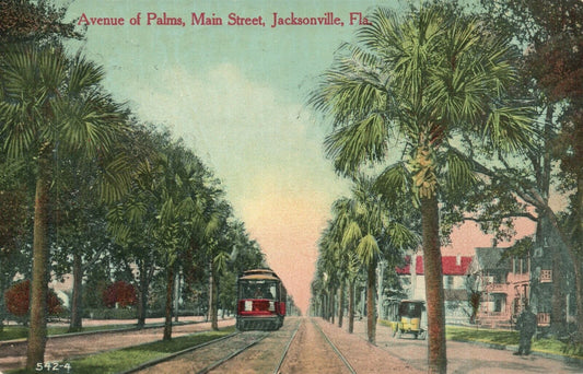 JACKSONVILLE FL AVENUE OF PALMS MAIN STREET 1916 ANTIQUE POSTCARD trolley