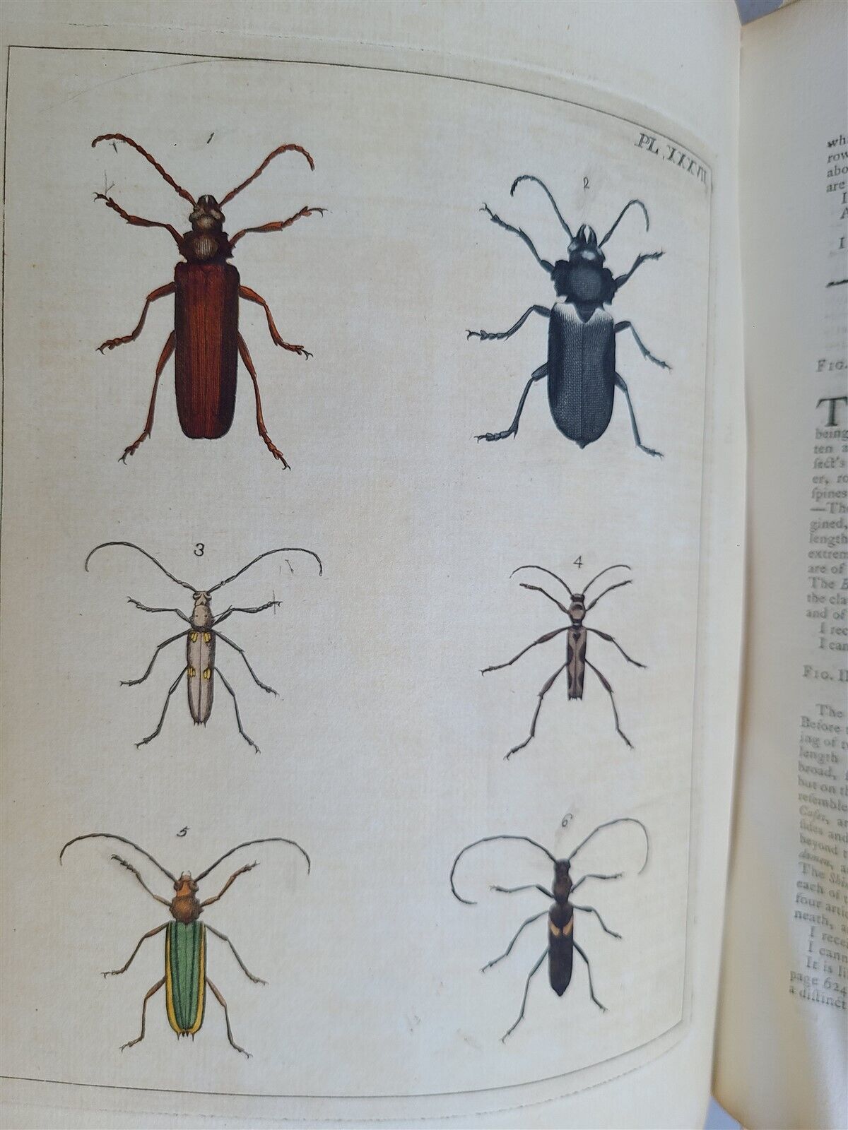 1770 ILLUSTRATIONS of NATURAL HISTORY of EXOTIC INSECTS by D.DRURY antique RARE