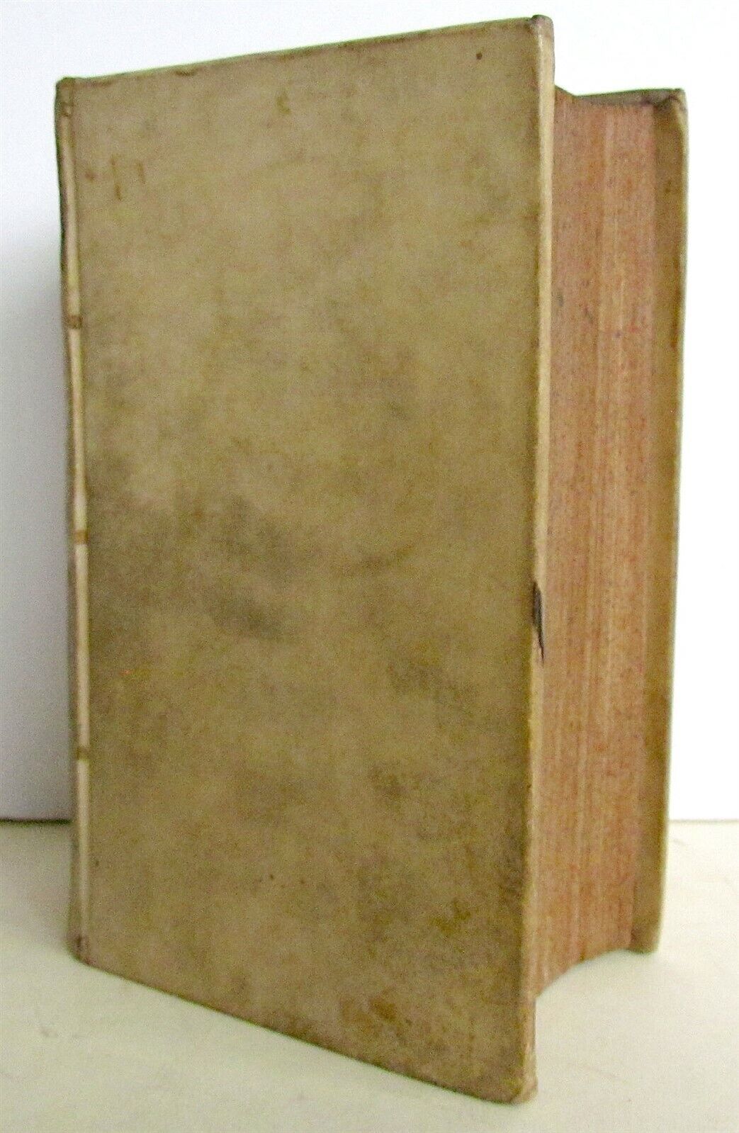 1731 ANNOTATIONES in SACRAM SCRIPTURAM ex HERODOTO COLLECTAE antique VELLUM