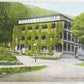 ANTIQUE POSTCARD HOTEL EDGCOMB GALETON PA