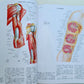 CIBA COLLECTION of MEDICAL ILLUSTRATIONS by FRANK H. NETTER reference & art book