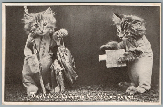 CATS FISHEMEN ANTIQUE POSTCARD