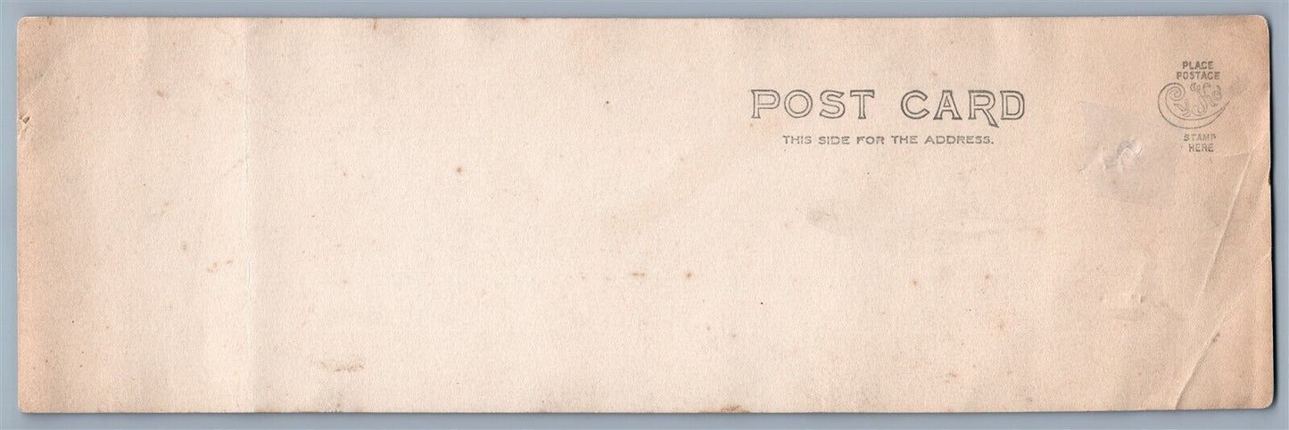 OWEGO NY FRONT STR. ANTIQUE DOUBLE REAL PHOTO POSTCARD RPPC OLD HOME WEEK 1909