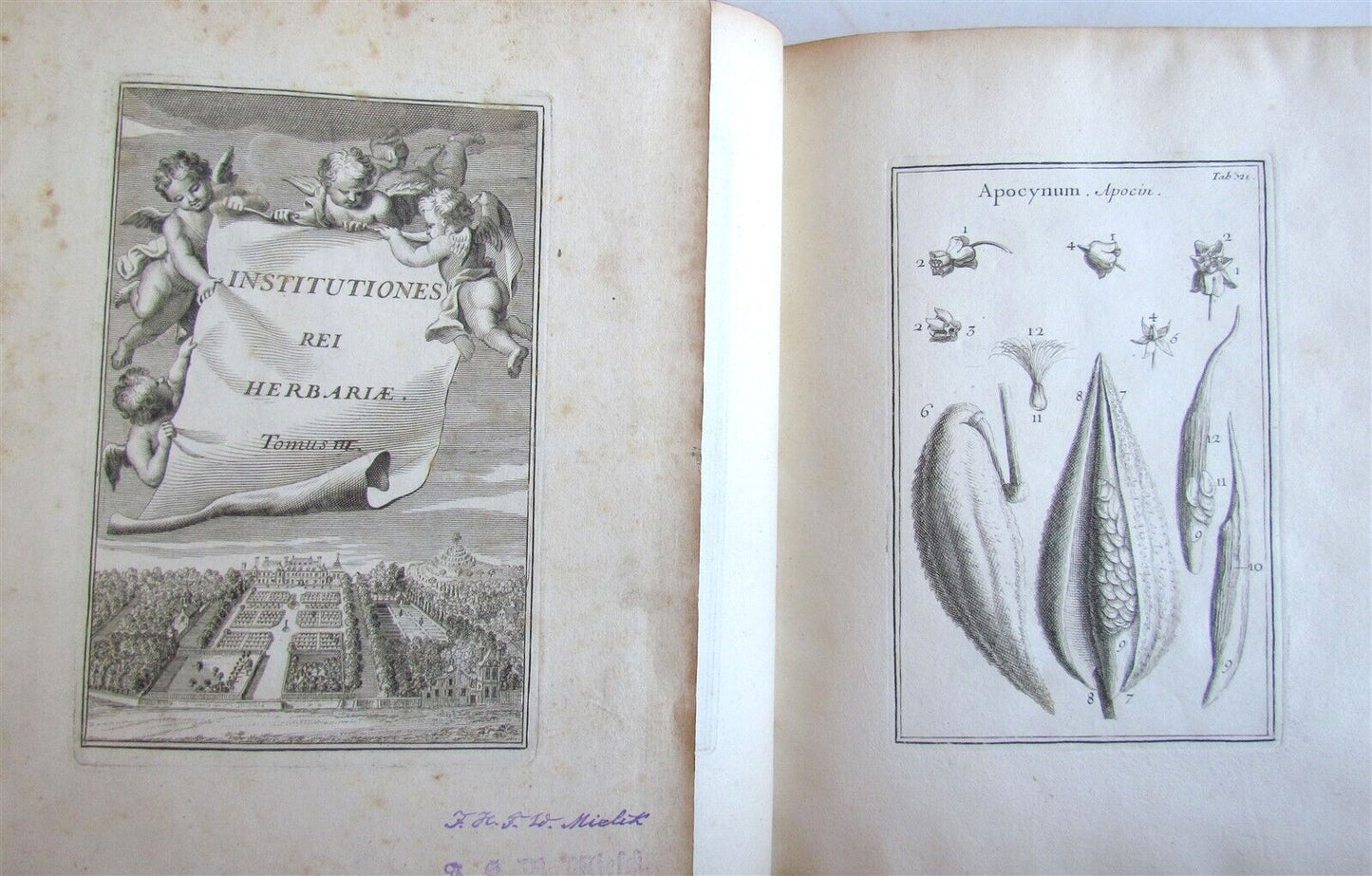 1700 BOTANY ILLUSTRATED 3 VOLUMES TOURNEFORT INSTITUTIONES REI HERBARIAE antique