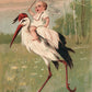 BABY RIDES OSTRICH 1907 ANTIQUE POSTCARD