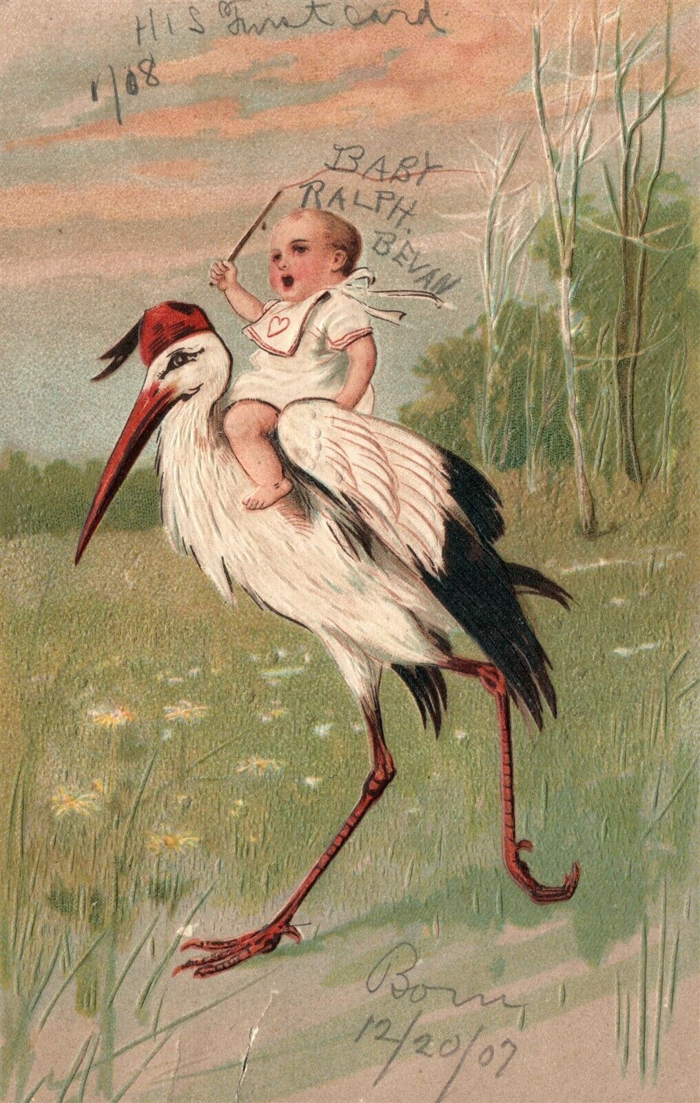 BABY RIDES OSTRICH 1907 ANTIQUE POSTCARD