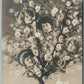 ANTIQUE REAL PHOTO PHOTOMONTAGE POSTCARD RPPC GIRLS in TREE CANOPY