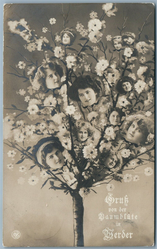 ANTIQUE REAL PHOTO PHOTOMONTAGE POSTCARD RPPC GIRLS in TREE CANOPY