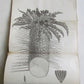 1790 AFRICA TRAVELS Voyages dans le pays des Hottentots ILLUSTRATED antique RARE