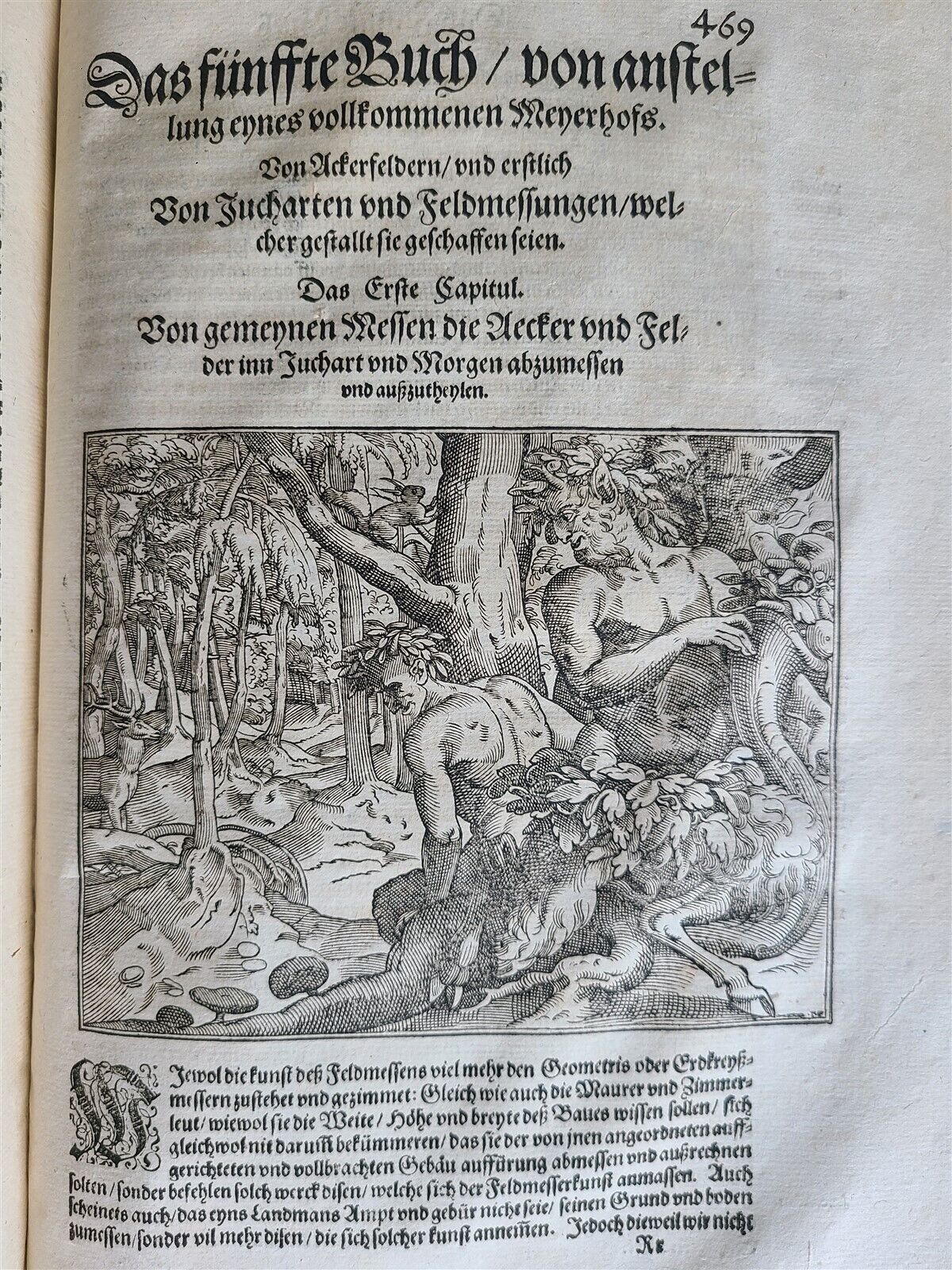 1580 ILLUSTRATED by Tobias Stimmer & J. Amman FOLIO antique HUNTING FALCONRY