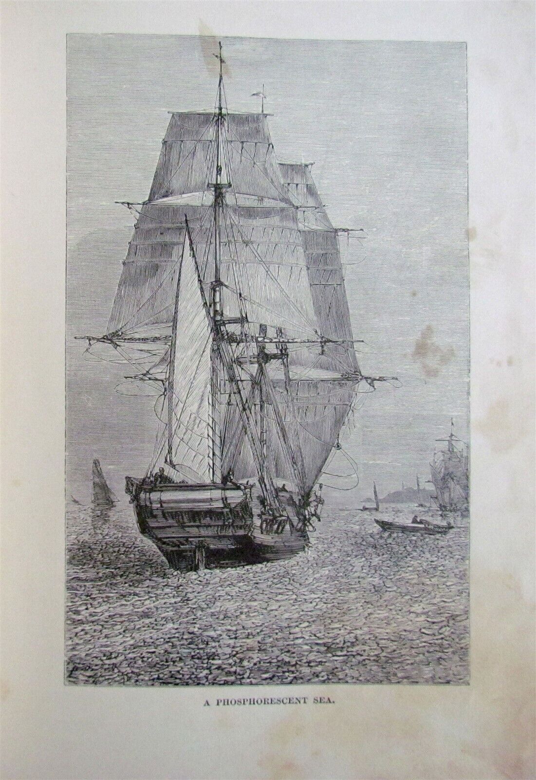 1880 WHAT MR. DARWIN SAW IN HIS VOYAGE ROUND THE WORLD IN SHIP BEAGLE ANTIQUE