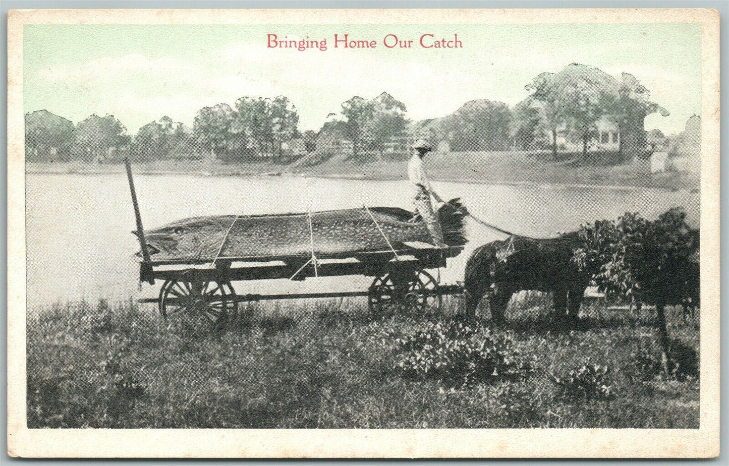 EXAGGERATED FISHING ANTIQUE POSTCARD BRINGING HOME OUR CATCH