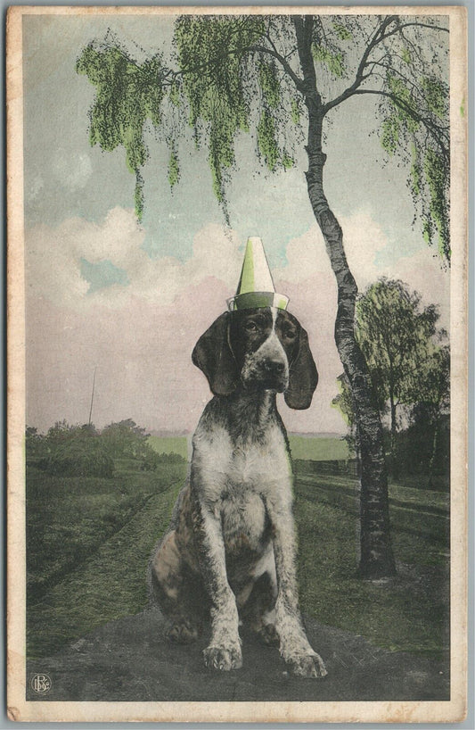 HUNTING DOG ANTIQUE POSTCARD