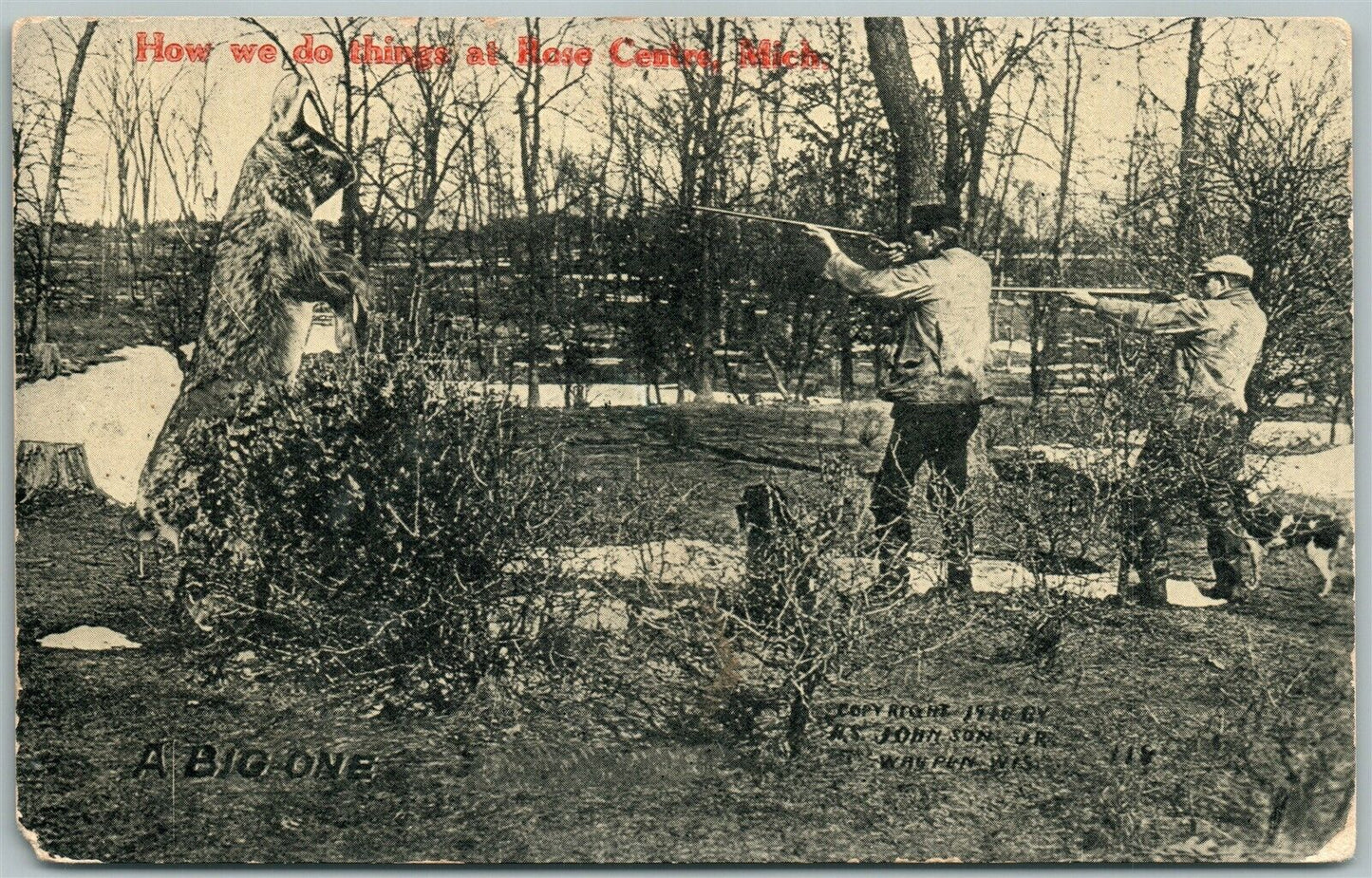 ROSE CENTRE MI HUNTING RABBIT EXAGGERATED ANTIQUE POSTCARD