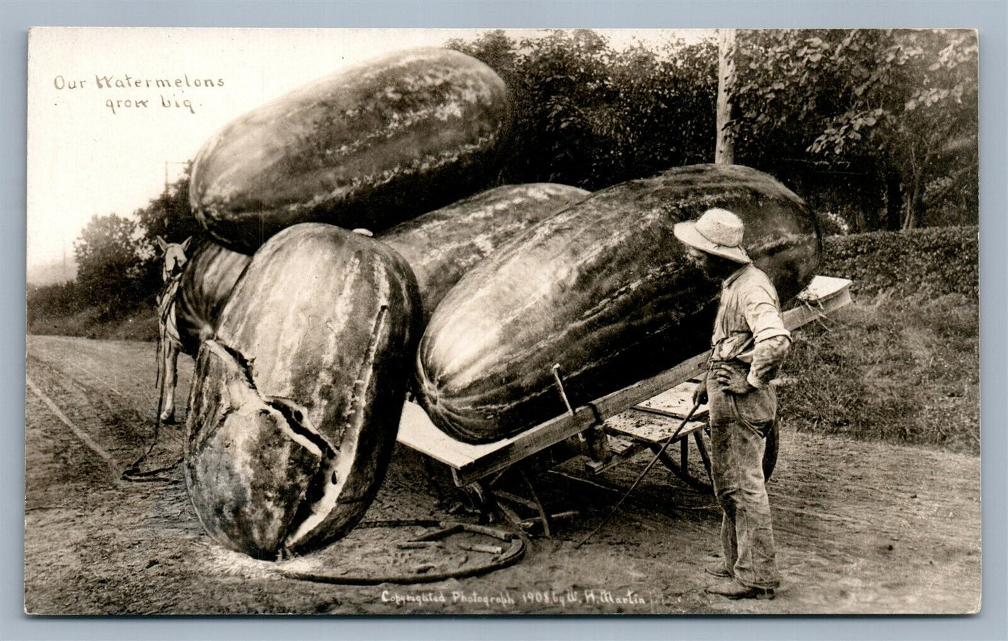 EXAGGERATED WATERMELONS ANTIQUE REAL PHOTO POSTCARD RPPC montage farm KANSAS